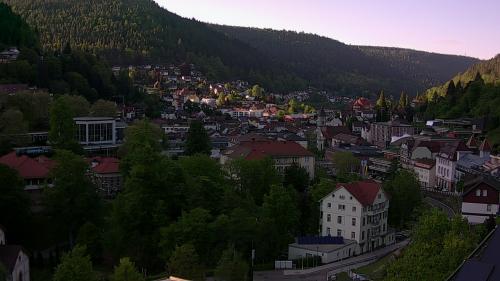 Webcam Bad Wildbad