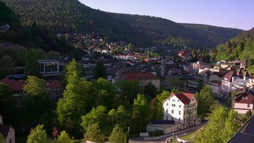 Webcam Bad Wildbad