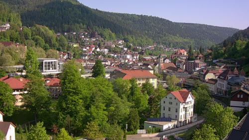 Webcam Bad Wildbad