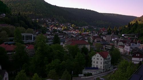 Webcam Bad Wildbad