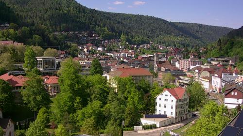 Webcam Bad Wildbad