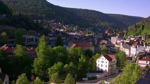 Webcam Bad Wildbad