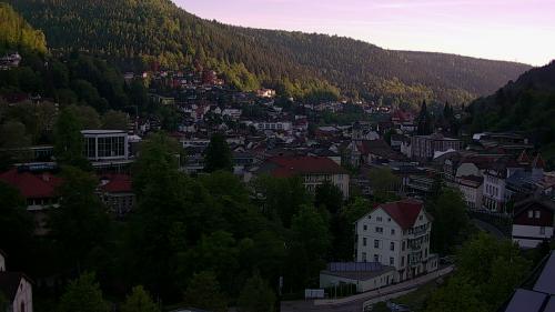 Webcam Bad Wildbad