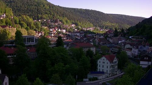 Webcam Bad Wildbad