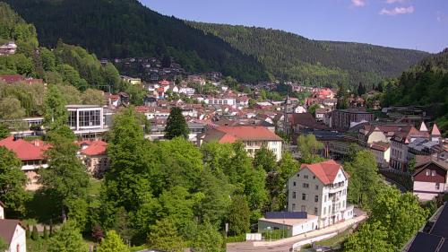 Webcam Bad Wildbad