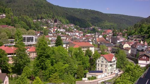 Webcam Bad Wildbad