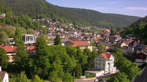 Webcam Bad Wildbad