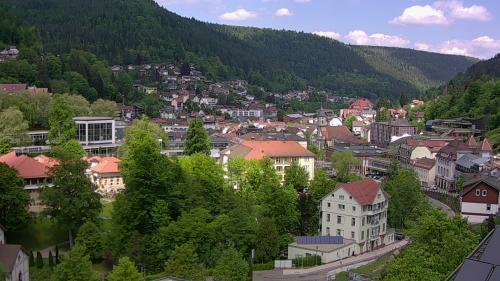 Webcam Bad Wildbad