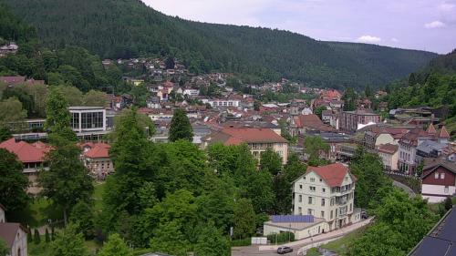 Webcam Bad Wildbad