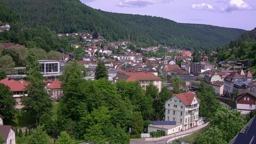 Webcam Bad Wildbad
