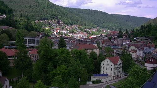 Webcam Bad Wildbad