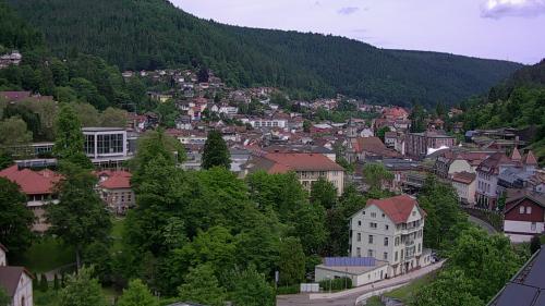 Webcam Bad Wildbad