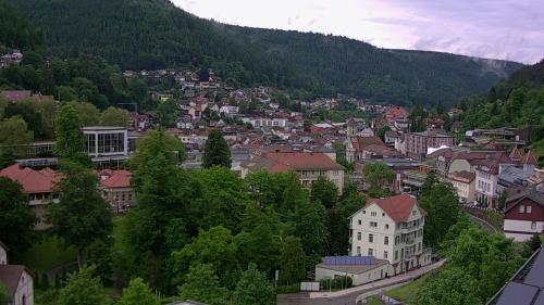 Webcam Bad Wildbad