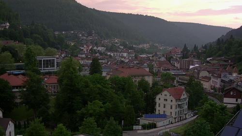 Webcam Bad Wildbad