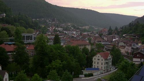 Webcam Bad Wildbad