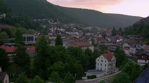 Webcam Bad Wildbad