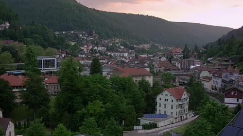 Webcam Bad Wildbad