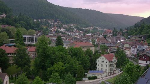 Webcam Bad Wildbad