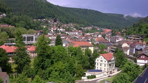 Webcam Bad Wildbad