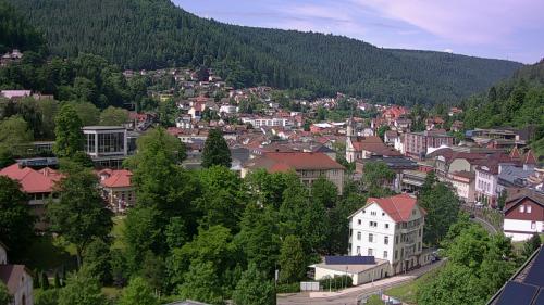 Webcam Bad Wildbad