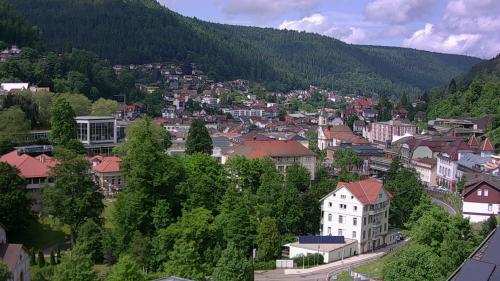Webcam Bad Wildbad