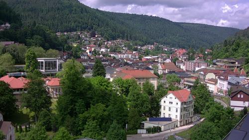 Webcam Bad Wildbad
