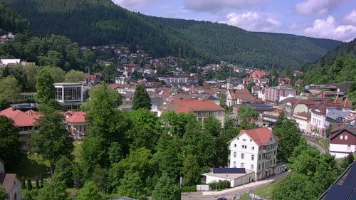 Webcam Bad Wildbad