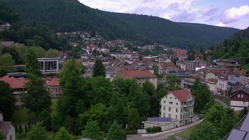 Webcam Bad Wildbad