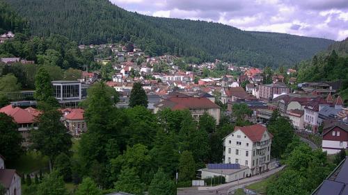 Webcam Bad Wildbad