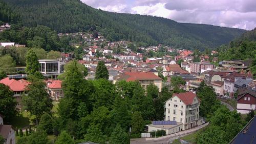 Webcam Bad Wildbad