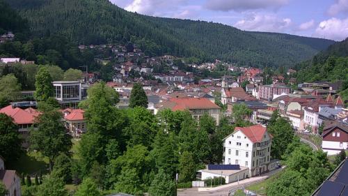 Webcam Bad Wildbad