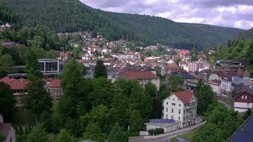 Webcam Bad Wildbad