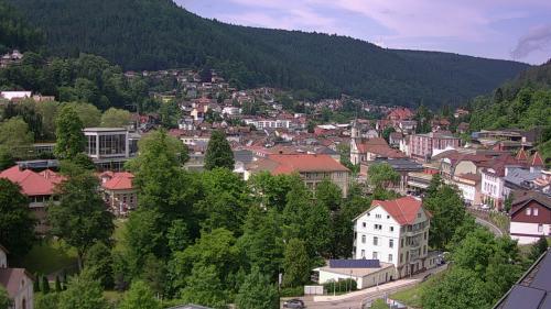 Webcam Bad Wildbad