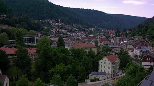 Webcam Bad Wildbad