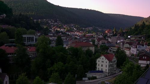 Webcam Bad Wildbad