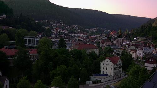 Webcam Bad Wildbad