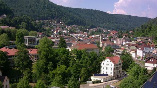 Webcam Bad Wildbad