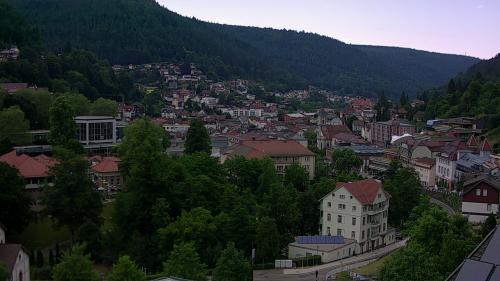 Webcam Bad Wildbad