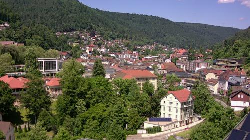 Webcam Bad Wildbad