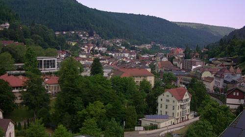 Webcam Bad Wildbad