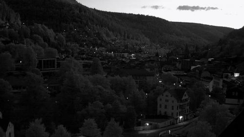 Webcam Bad Wildbad