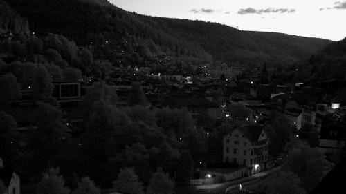 Webcam Bad Wildbad