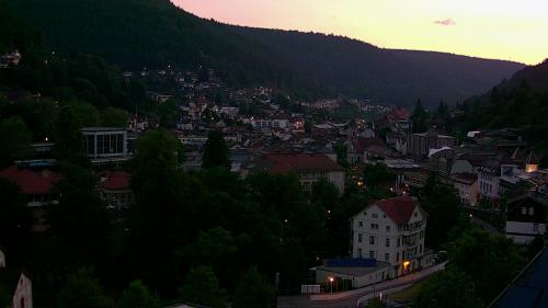 Webcam Bad Wildbad
