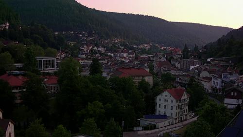 Webcam Bad Wildbad