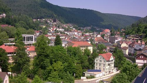 Webcam Bad Wildbad