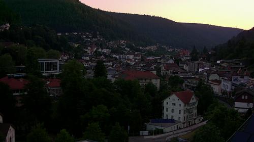 Webcam Bad Wildbad