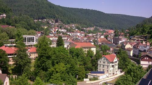Webcam Bad Wildbad