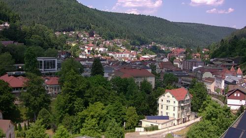 Webcam Bad Wildbad
