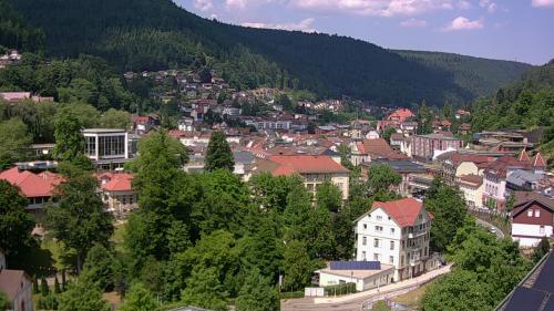Webcam Bad Wildbad