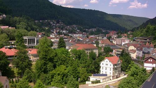 Webcam Bad Wildbad